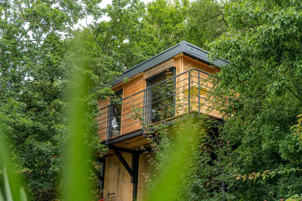 Le Moonloft Insolite Tiny-House Dans Les Arbres & 1 Seance De Sauna Pour 2 Avec Vue Panoramique Osenbach Exterior photo