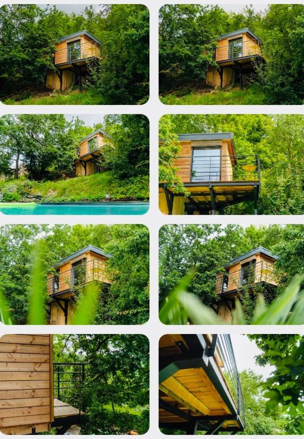 Le Moonloft Insolite Tiny-House Dans Les Arbres & 1 Seance De Sauna Pour 2 Avec Vue Panoramique Osenbach Exterior photo